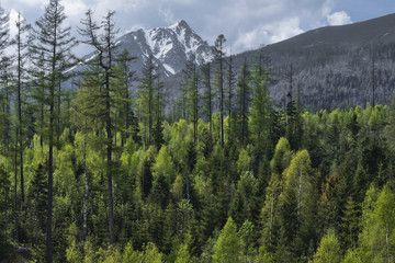Tatry in Slovakia © escli