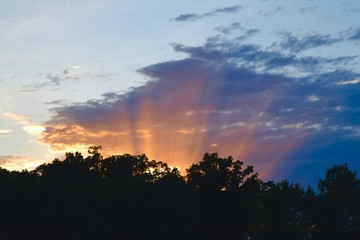 sunset sunbeams shooting out of tree line