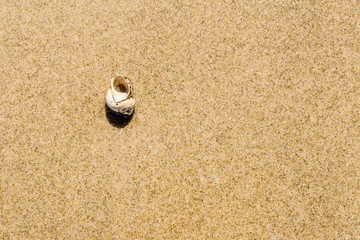 Fototapeta na wymiar Summer texture - transparent water, sandy beach and a small shell, top view, copy space