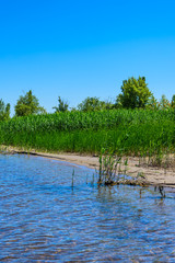 River sandy shore on a summer day
