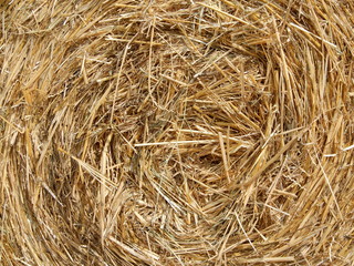Strohballen