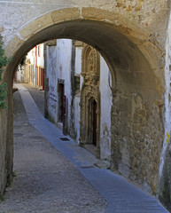 Fototapeta na wymiar arch gates in hoistorical center of Coimbra