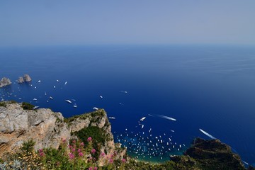 Isola di Capri - Veduta dal Monte Solaro