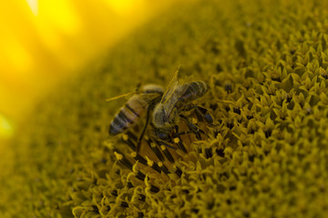 Giornata di lavoro #3