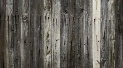 Black wood, background texture, high resolution