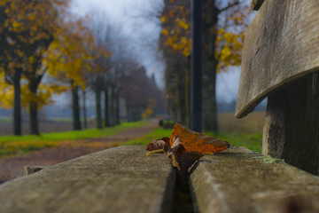 Autunno