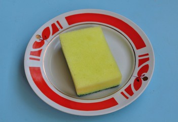 Sponge on a plate