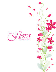 Vector illustrations of flora isolated in the form of watercolor.