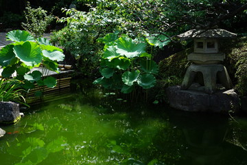 Fototapeta na wymiar 鎌倉の寺の庭