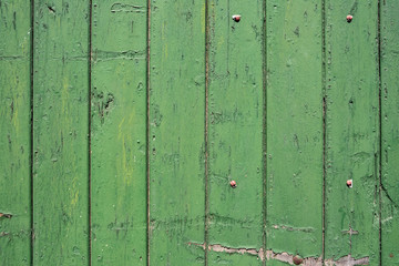 Holzbalken grün lackiert vintage