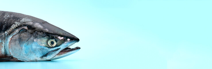 Red  fish pink salmon fresh natural silvery delicious 