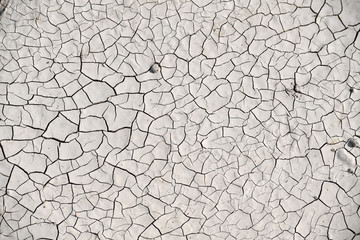 Deep cracks in the white, dry soil.
