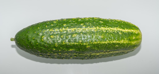 Gurke isoliert auf weiß