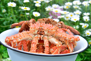 Photo of a boiled crab in sea water in a basin