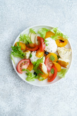 Original panzanella salad with mozarella, toasted baguette, tomatoes and plums on rustic background. Summer cuisine concept. Top view