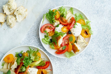 Original panzanella salad with mozarella, toasted baguette, tomatoes and plums on rustic background. Summer cuisine concept. Top view