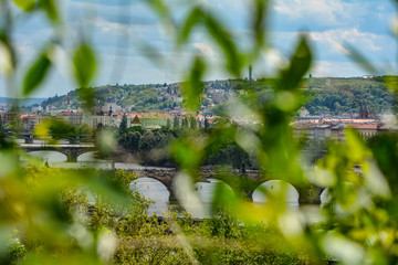 Karlsbrücke in Prag im Sommer 