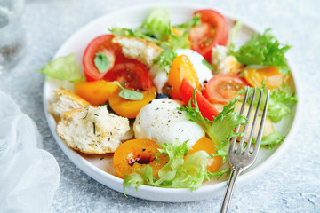 Close up of original panzanella salad with mozarella, toasted baguette, tomatoes and plums on rustic background. Summer cuisine concept