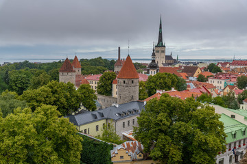 Obraz premium Old town of Tallinn in summer view from Patkuli Viewing Platform