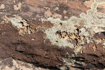 Old stone surface covered with blue lichen.