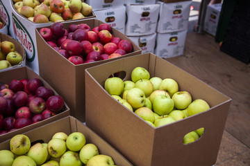 Apples in Boxes