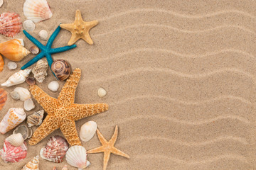 Fototapeta na wymiar Top view sand dunes with seashells and starfish as blank background.