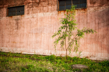 Old rusted wall of the abandoned warehouse