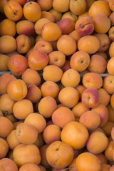 Closeup of Apricot Background