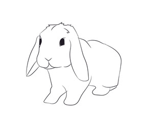rabbits with lines, vector