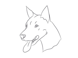dog portrait, lines, vector