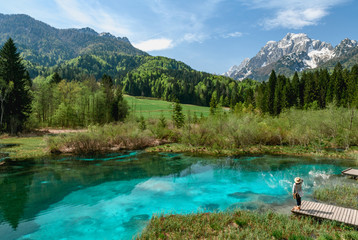 A beautiful spring season at Zelenci lake in Kranjska Gora, Slovenia - obrazy, fototapety, plakaty