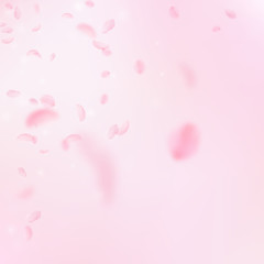 Sakura petals falling down. Romantic pink flowers corner. Flying petals on pink square background. 