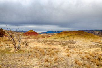 Obraz premium Painted Hills at John Day Fossil Beds National Monument