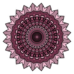 Ethnic decorative element circle Mandala. Vector . Hand drawn backdrop. Boho style.