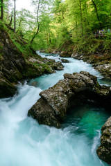 The famous Vintgar gorge Canyon near Bled lake with wooden walkway in Slovenia