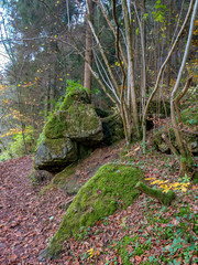 Spaziergang nähe Pottenstein