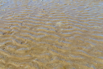 Wattboden bei Ebbe. Nordsee. 