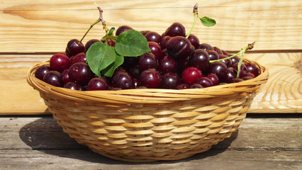 Ripe delicious cherry in a wicker basket.