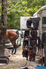Polo saddles. Backstage at polo match. Trucks carrying horses and accesories. Leather, stitches and stirrups.