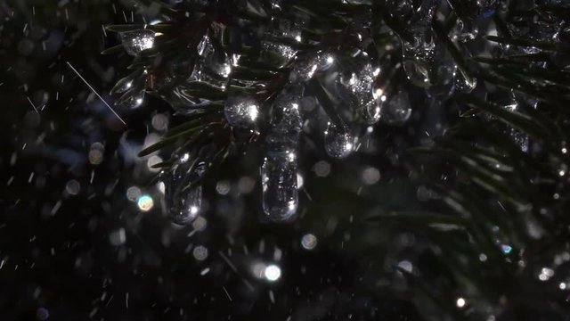 Extreme closeup shot of glittering frozen icicles shining like stars on fir branches under the rain against dark conifer background. Big heavy water drops rolling down. Extreme slow motion.
