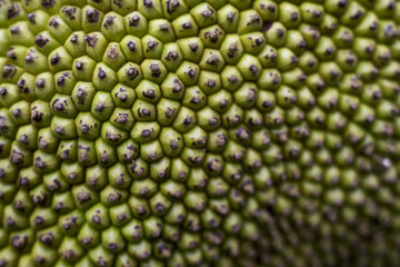 closed up surface of jackfruit