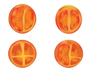 tomato slice vector and illustration