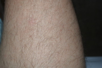 Fototapeta premium Skin and body parts