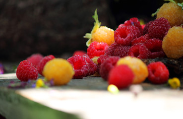 Still life of red and yellow raspberries. Against the background of a bouquet of wildflowers. Close-up. Selective focus, side view, space for copy.