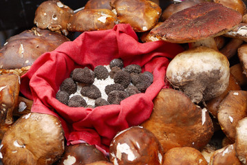 Brown summer truffles in a red bag, against the background of ceps
