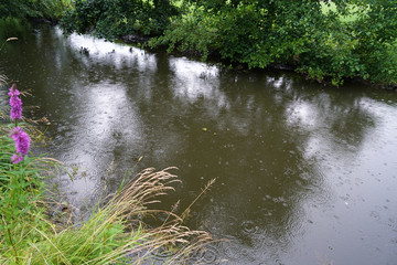 Heavy rain on a summer day in Germany
