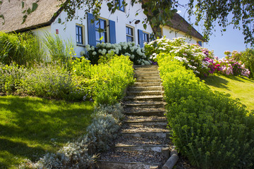 Typical dutch house with straw roof, with green garden.