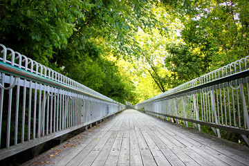 pathway on a bridge going through the forest