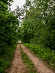 simple country road in summer
