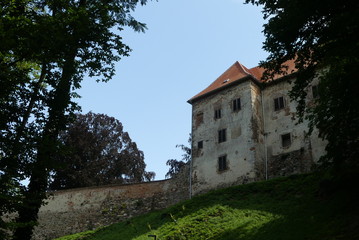 Fototapeta na wymiar historische Burg